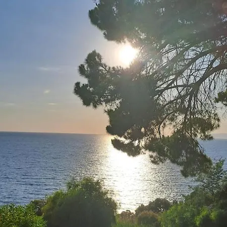 Sun Terrace And Sea Lejlighed Scalea